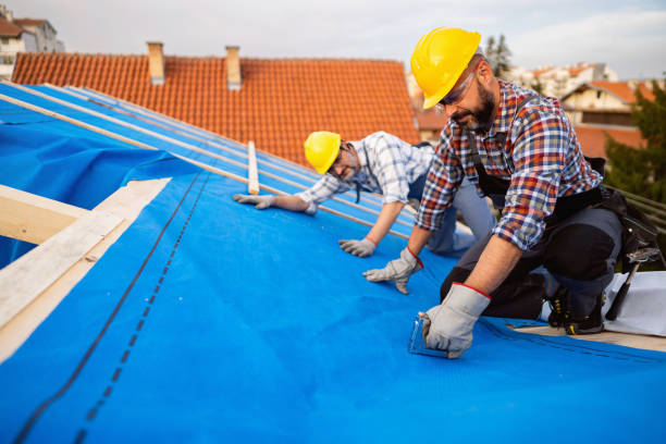 Best Metal Roofing Contractor  in Ravensworth, VA