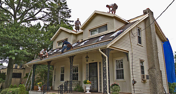 Best Affordable Roof Replacement  in Ravensworth, VA